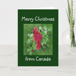 Cartes Pour Fêtes Annuelles Joyeux Noël du Canada, Cardinal Bird