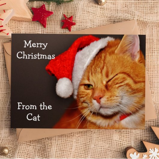 Cartes Pour Fêtes Annuelles Joyeux Noël du chat