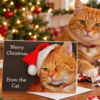 Cartes Pour Fêtes Annuelles Joyeux Noël du chat
