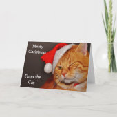 Cartes Pour Fêtes Annuelles Joyeux Noël du chat (Devant)