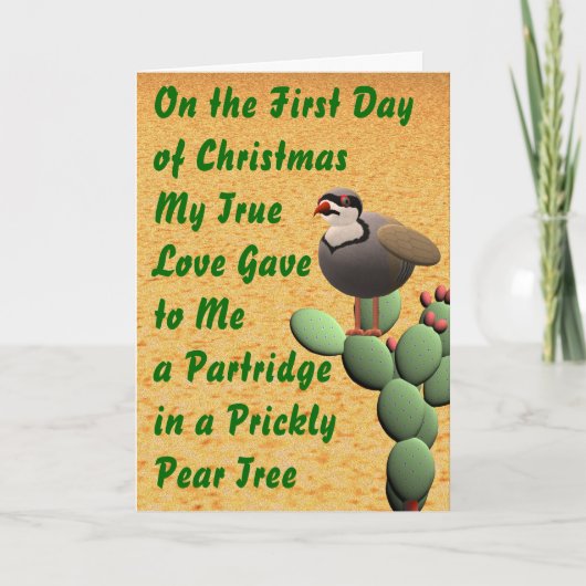 Cartes Pour Fêtes Annuelles Joyeux Noël du désert (Devant)