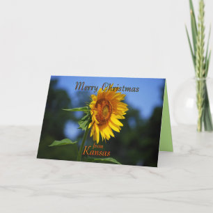 Cartes Pour Fêtes Annuelles Joyeux Noël du Kansas
