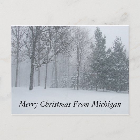 Cartes Pour Fêtes Annuelles Joyeux Noël du Michigan Winter Snow Postca (Devant)