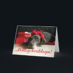 Cartes Pour Fêtes Annuelles Joyeux Noël - Dutch Christmas<br><div class="desc">Joyeux Noël - Merry Christmas à Dutch. Surprise your nearest and dearest, your friends, coworkers, neighbors or even your boss with a special card in their own language or your (2nd) language. Many different designs available: from a contemporain collage photography card, mixing ornaments and winter landscapes, a classic vintage christmas...</div>