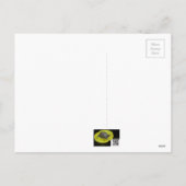 Cartes Pour Fêtes Annuelles Joyeux Noël - Eastern Blue Jay (Dos)