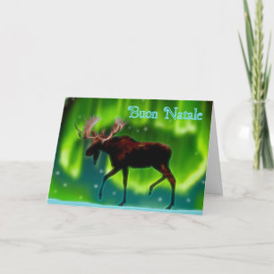Cartes Pour Fêtes Annuelles Joyeux Noël - Élan Aurore Boréale