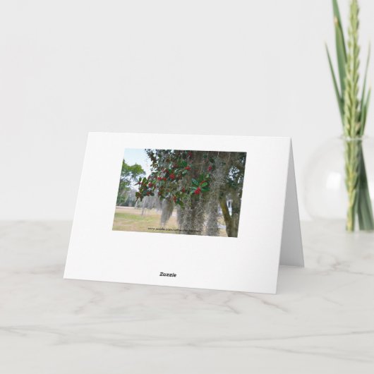 Cartes Pour Fêtes Annuelles Joyeux Noël en Caroline du Sud (Dos)