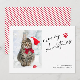Cartes Pour Fêtes Annuelles Joyeux Noël félin élégant Photo de Noël de chat