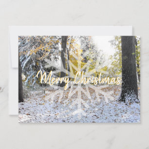 Cartes Pour Fêtes Annuelles Joyeux Noël flocon de neige décoloré par jour de n