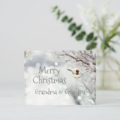 Cartes Pour Fêtes Annuelles Joyeux Noël Frost Oiseau (Debout devant)