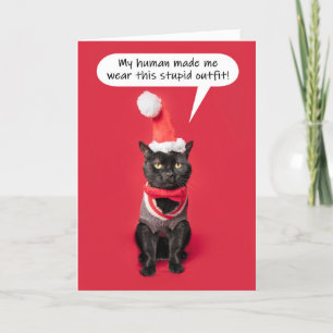 Cartes Pour Fêtes Annuelles Joyeux Noël Funny Chat en tenue de vacances