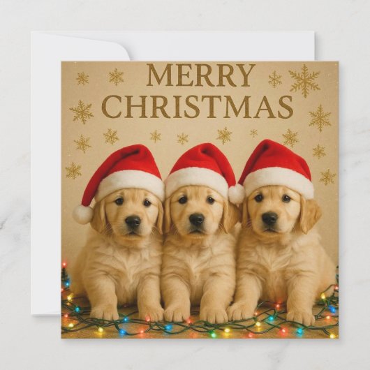Cartes Pour Fêtes Annuelles Joyeux Noël Golden Retriever Christmas Card. (Devant)