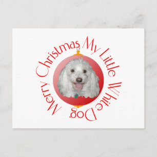 Cartes Pour Fêtes Annuelles Joyeux Noël Havanais