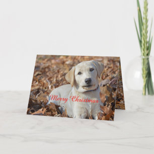 Cartes Pour Fêtes Annuelles Joyeux Noël Jaune Labrador Retriever