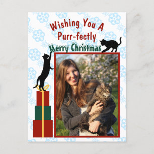 Cartes Pour Fêtes Annuelles Joyeux Noël Joyeux Kitties Photo