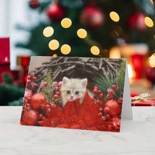 Cartes Pour Fêtes Annuelles Joyeux Noël Kitty Personnalisez votre salutation