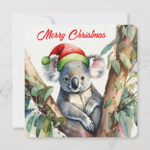 Cartes Pour Fêtes Annuelles Joyeux Noël Koala assis dans Gumtree
