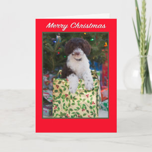 Cartes Pour Fêtes Annuelles Joyeux Noël Labradoodé Puppy Card