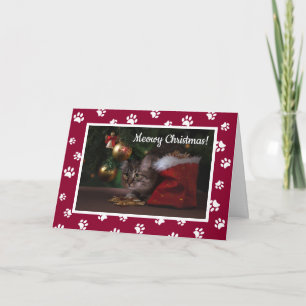 Cartes Pour Fêtes Annuelles Joyeux Noël Miaou ! Photo de chat aux empreintes d