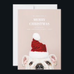 Cartes Pour Fêtes Annuelles Joyeux Noël. Mignonne chien. Père Noël animal<br><div class="desc">Carte postale de Noël avec chien mignon. Contactez-moi,  s'il vous plaît,  si vous avez besoin d'autres articles.</div>