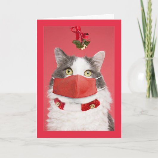 Cartes Pour Fêtes Annuelles Joyeux Noël Mistletoe Chat en Masque Visage Humour (Devant)