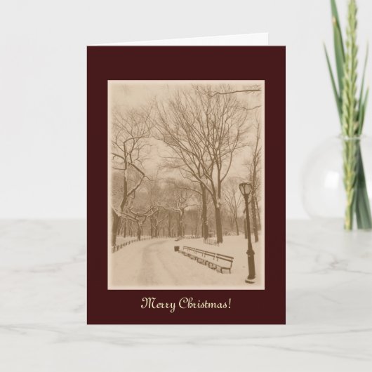 Cartes Pour Fêtes Annuelles Joyeux Noël - New York Central Park Neige (Devant)