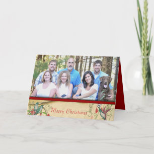 Cartes Pour Fêtes Annuelles Joyeux Noël Oiseaux Vintages Votre famille Photo