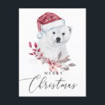 Cartes Pour Fêtes Annuelles Joyeux Noël. Ours polaire<br><div class="desc">Carte postale de l'ours polaire mignon "Joyeux Noël".</div>