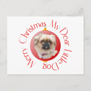 Cartes Pour Fêtes Annuelles Joyeux Noël Pékinois