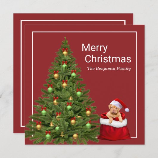 Cartes Pour Fêtes Annuelles Joyeux Noël Père Noël Fun Chien Personnaliser (Devant / Derrière)