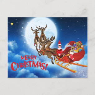 Cartes Pour Fêtes Annuelles Joyeux Noël Père Noël Sleigh avec elfe et cadeaux