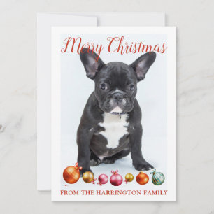 Cartes Pour Fêtes Annuelles Joyeux Noël personnalisé chiot Bouledogue Français