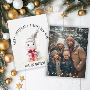 Cartes Pour Fêtes Annuelles Joyeux Noël Photo Hiver Lapin Noël