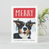 Cartes Pour Fêtes Annuelles Joyeux Noël piqué audacieux (Debout devant)