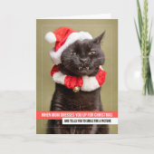 Cartes Pour Fêtes Annuelles Joyeux Noël pour tous Chat à Santa Hat (Devant)