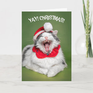 Cartes Pour Fêtes Annuelles Joyeux Noël pour tous Happy Chat en Casquette