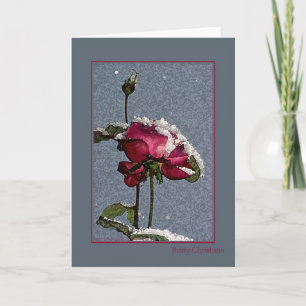 Cartes Pour Fêtes Annuelles Joyeux Noël - rose rouge artsy avec la neige