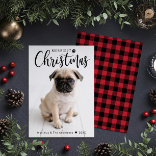 Cartes Pour Fêtes Annuelles Joyeux Noël Rouge Buffle Plaid Pet Photo