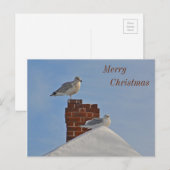 Cartes Pour Fêtes Annuelles Joyeux Noël Seashore (Devant / Derrière)