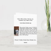 Cartes Pour Fêtes Annuelles Joyeux Noël - Shenandoah lumineux (Dos)