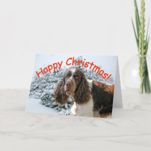 Cartes Pour Fêtes Annuelles Joyeux Noël Springer !