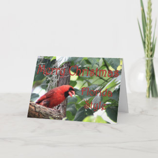 Cartes Pour Fêtes Annuelles Joyeux Noël, style Floride