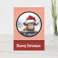 Joyeux Noël Vache Highland Rouge Drôle