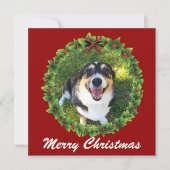 Cartes Pour Fêtes Annuelles Joyeux Noël Wreath Custom Chien Photo (Devant)