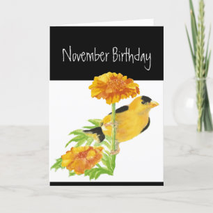 Cartes Pour Fêtes Annuelles Joyeux NovembreAnniversaire Humour Jardin Oiseaux 