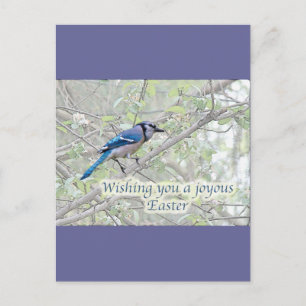 Cartes Pour Fêtes Annuelles Joyeux oiseau-chanteur bleu pâle de Pâques