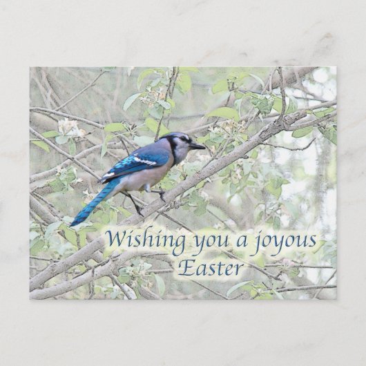 Cartes Pour Fêtes Annuelles Joyeux oiseau-chanteur bleu pâle de Pâques (Devant)