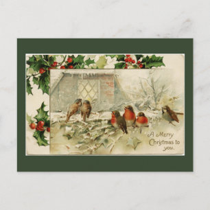 Cartes Pour Fêtes Annuelles Joyeux Oiseaux de Noël