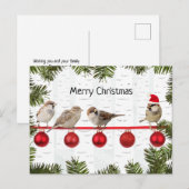 Cartes Pour Fêtes Annuelles Joyeux Oiseaux de Noël sur un membre (Devant / Derrière)