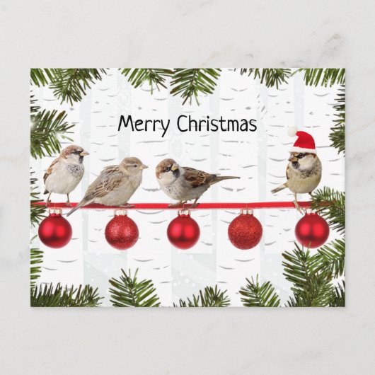 Cartes Pour Fêtes Annuelles Joyeux Oiseaux de Noël sur un membre (Devant)